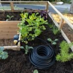 Cedar Complete Raised Garden Bed Kit with Greenhouse Cover 8′ x 12′ - Image 22