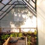 Cedar Complete Raised Garden Bed Kit with Greenhouse Cover 8′ x 12′ - Image 14